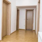 Lazar Apartman Pale